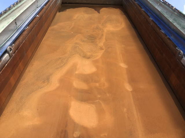 日野プロフィアダンプ大型（10t）[写真13]