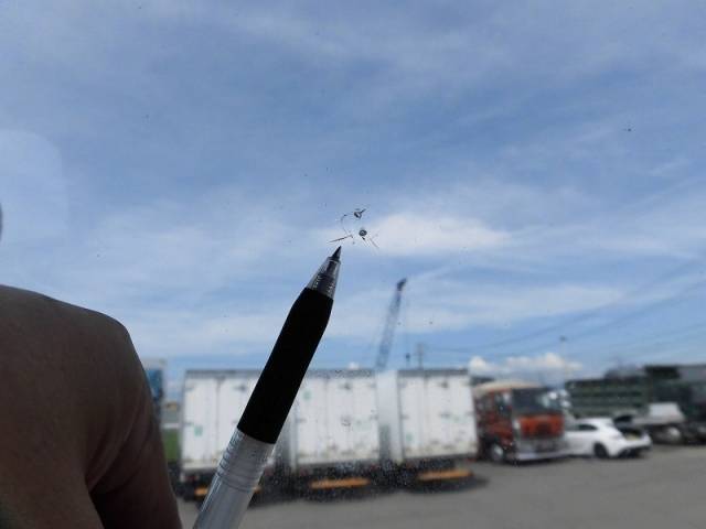 三菱ふそうスーパーグレートアルミウイング大型（10t）[写真30]