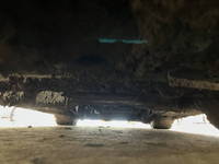 トヨタフォークリフト[写真17]