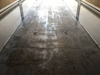 いすゞギガアルミウイング大型（10t）[写真14]