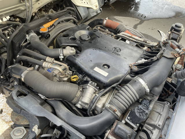 いすゞエルフ冷凍車（冷蔵車）小型（2t・3t）[写真22]