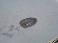 日産カゼットアルミブロック小型（2t・3t）[写真17]