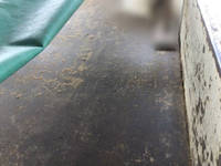 トヨタダイナダンプ小型（2t・3t）[写真06]