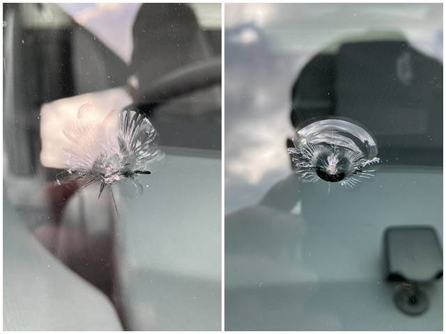 いすゞエルフアルミバン小型（2t・3t）[写真39]