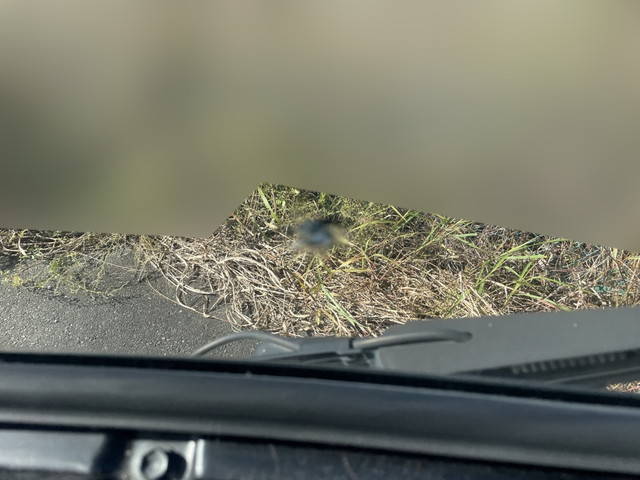 日野レンジャーアルミウイング中型（4t）[写真29]