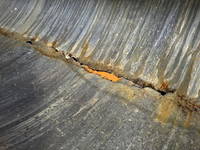 いすゞエルフパッカー車（塵芥車）小型（2t・3t）[写真10]