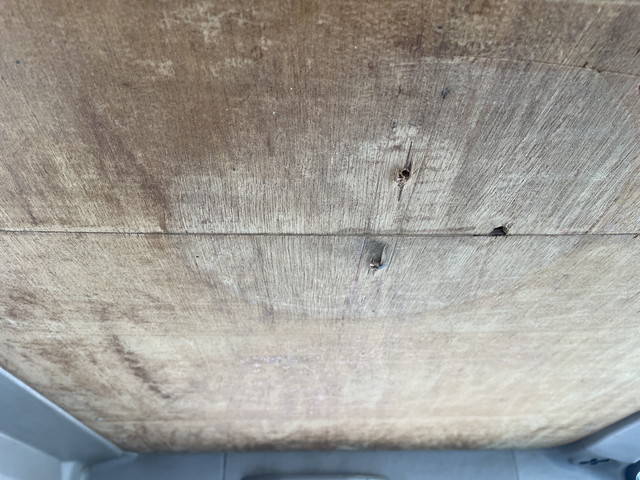 日産アトラス平ボディ小型（2t・3t）[写真20]