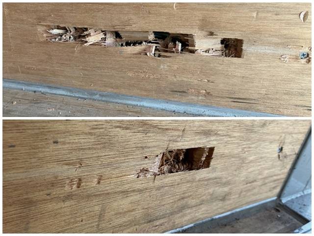 いすゞエルフアルミバン小型（2t・3t）[写真18]