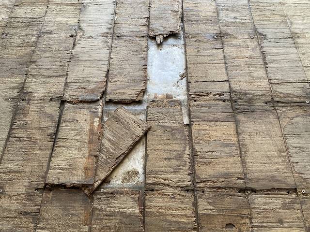 いすゞフォワード幌ウイング中型（4t）[写真18]