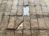 いすゞフォワード幌ウイング中型（4t）[写真18]