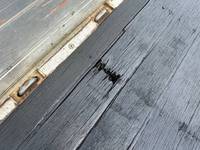 いすゞフォワードクレーン4段中型（4t）[写真35]