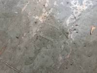 UDトラックスコンドルアルミバン中型（4t）[写真14]