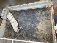 いすゞエルフ高所作業車小型（2t・3t）[写真17]