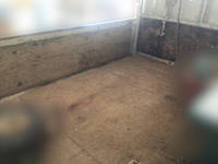 いすゞエルフ平ボディ小型（2t・3t）[写真05]