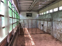 UDトラックスコンドル家畜運搬車増トン（6t・8t）[写真08]