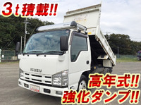 いすゞエルフダンプ小型（2t・3t）[写真01]