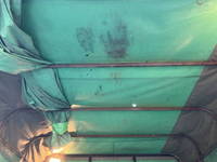 三菱ふそうキャンターダブルキャブ（Wキャブ）小型（2t・3t）[写真17]