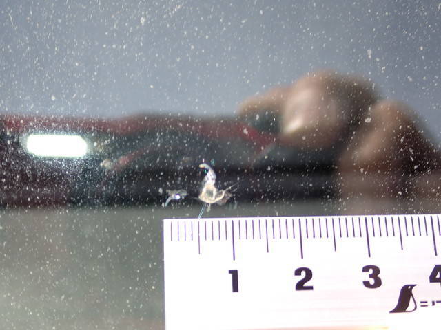 日野レンジャーアルミウイング中型（4t）[写真40]