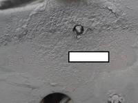 日野レンジャー冷凍車（冷蔵車）増トン（6t・8t）[写真35]