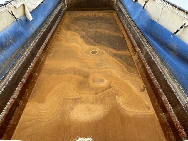 いすゞギガダンプ大型（10t）[写真13]