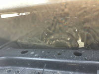 日野プロフィア深ダンプ（土砂禁ダンプ）大型（10t）[写真23]