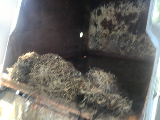 いすゞエルフパッカー車（塵芥車）小型（2t・3t）[写真11]