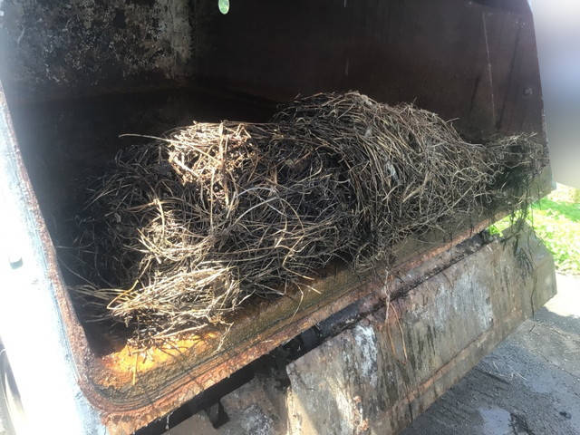 いすゞエルフパッカー車（塵芥車）小型（2t・3t）[写真12]