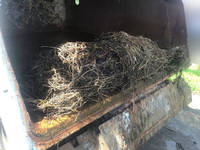 いすゞエルフパッカー車（塵芥車）小型（2t・3t）[写真13]