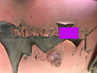 三菱ふそうファイター冷凍車（冷蔵車）増トン（6t・8t）[写真41]