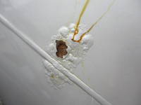 日野レンジャーミキサー車（コンクリートミキサー）増トン（6t・8t）[写真22]