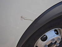 日野レンジャーパッカー車（塵芥車）中型（4t）[写真11]