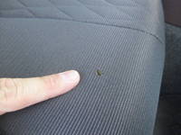 日野プロフィアアルミウイング大型（10t）[写真21]