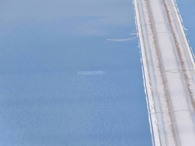 日野レンジャーアルミウイング中型（4t）[写真38]