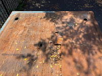 日野プロフィアスクラップ運搬車大型（10t）[写真11]