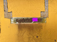 東急その他の車種重機運搬トレーラー大型（10t）[写真41]