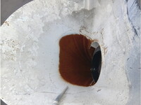 いすゞギガミキサー車（コンクリートミキサー）大型（10t）[写真11]