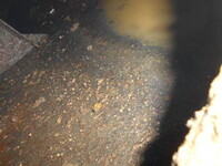 いすゞエルフバキュームカー小型（2t・3t）[写真27]