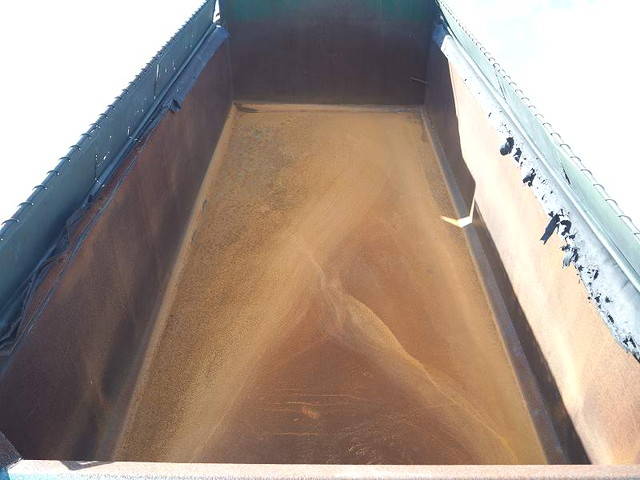 三菱ふそうスーパーグレート深ダンプ（土砂禁ダンプ）大型（10t）[写真19]