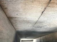 いすゞエルフ平ボディ小型（2t・3t）[写真36]