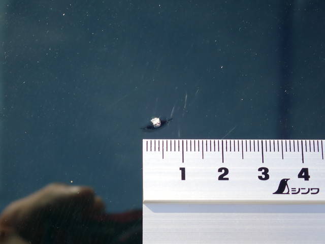 日野デュトロセーフティローダー小型（2t・3t）[写真38]