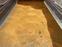 日野プロフィア深ダンプ（土砂禁ダンプ）大型（10t）[写真12]