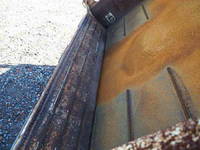 いすゞエルフローダーダンプ小型（2t・3t）[写真23]