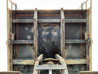 日野プロフィアダンプ大型（10t）[写真10]