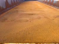 その他のメーカーその他の車種土砂ダンプトレーラー大型（10t）[写真09]