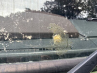 日野レンジャーアルミバン中型（4t）[写真38]