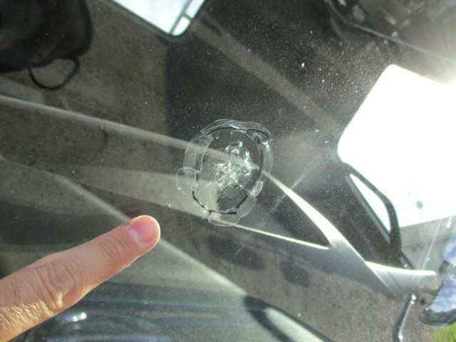 日野プロフィアトレーラーヘッド（トラクターヘッド）大型（10t）[写真35]