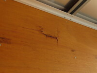 日野プロフィアアルミウイング大型（10t）[写真38]