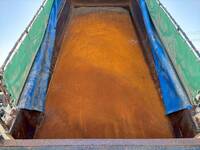 日野プロフィアダンプ大型（10t）[写真09]