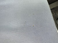 三菱ふそうファイターアルミウイング中型（4t）[写真31]