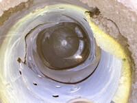 いすゞエルフミキサー車（コンクリートミキサー）小型（2t・3t）[写真10]